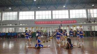 青春活力助燃賽場，管理工程系啦啦隊閃耀石家莊科技工程職業學院籃球賽